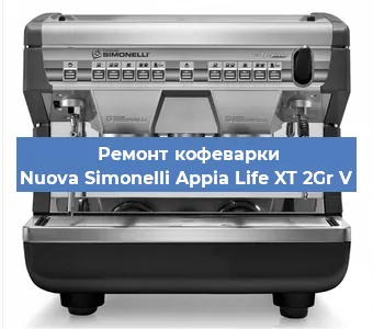 Чистка кофемашины Nuova Simonelli Appia Life XT 2Gr V от накипи в Новосибирске